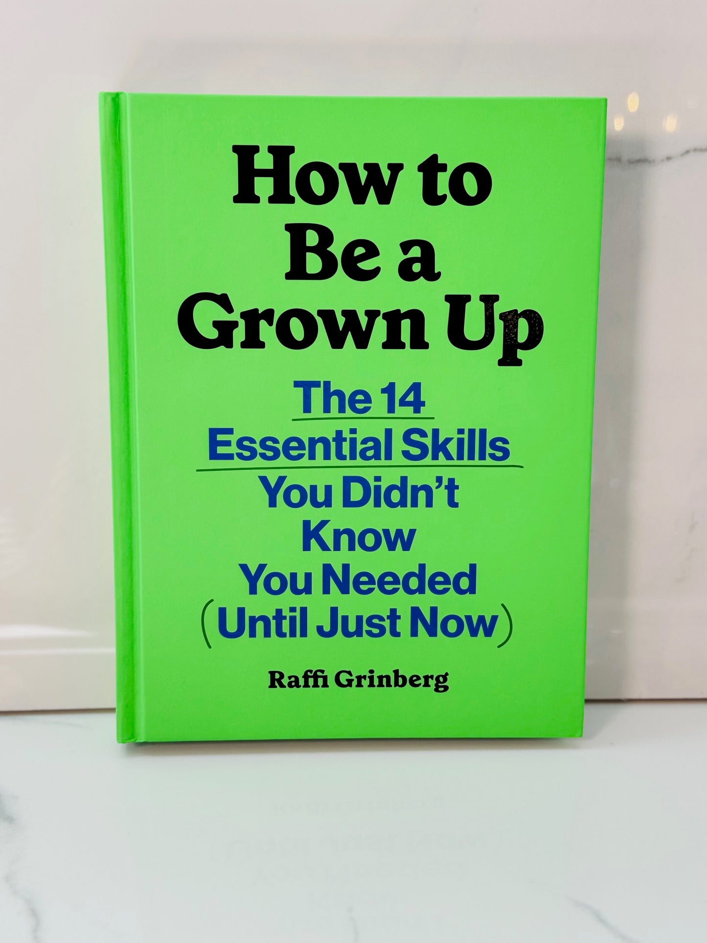 How To Be A Grown Up Book