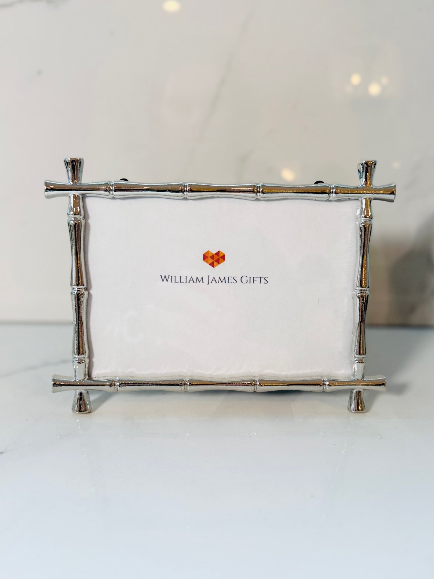 4x6 Silver Bamboo Frame