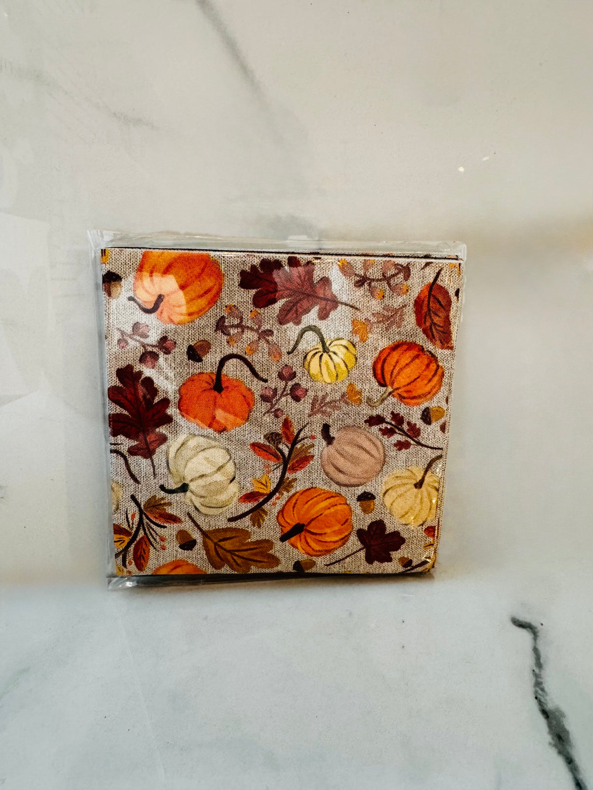 Pumpkin and Leaves Cocktail Napkins