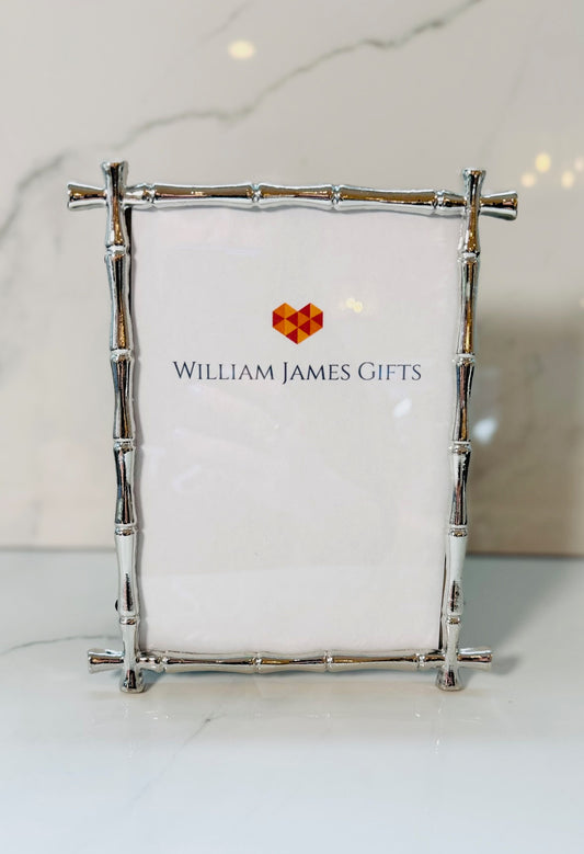 5x7 Silver Bamboo Frame