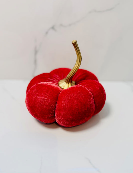 Velvet Pumpkin - Small Raspberry