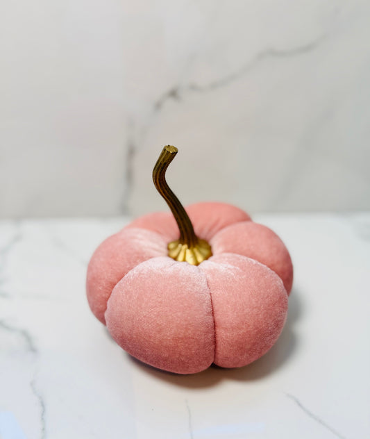 Velvet Pumpkin - Small Blush