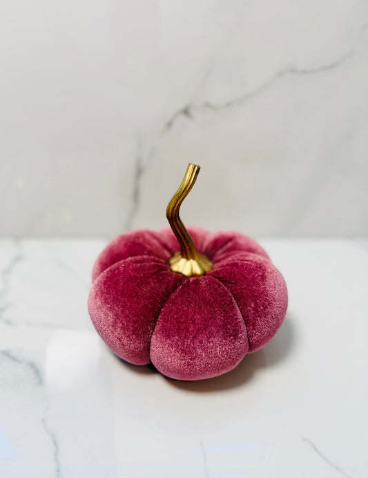 Velvet Pumpkin - Small Plum