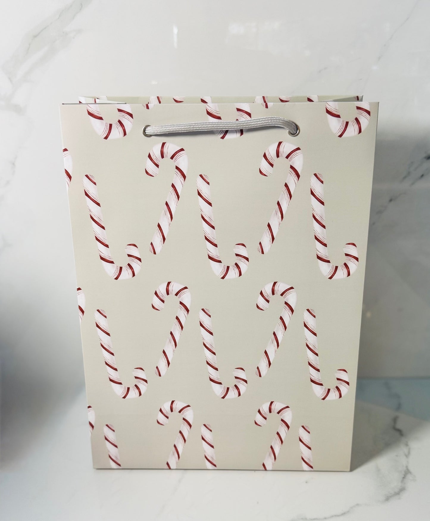 Candy Cane Gift Bag