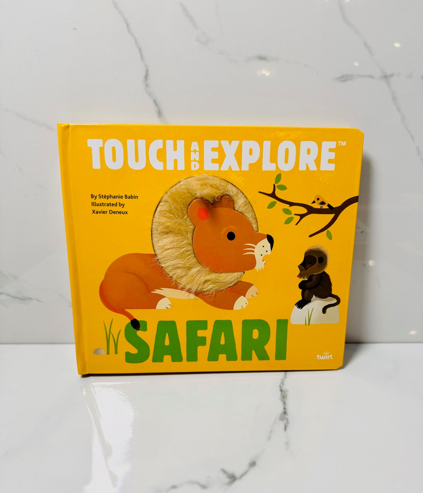Safari Touch and Explore Book