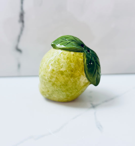 Lime Salt Shaker