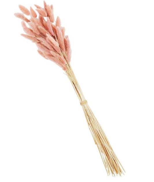 Pink Bunny Tail Grass Bundle