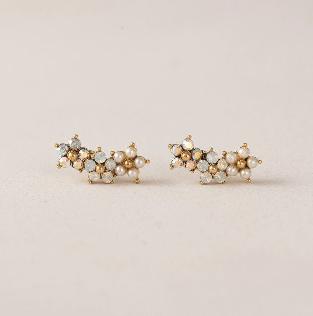 Floral Climber Earring
